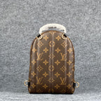 LV Palm Springs Mini