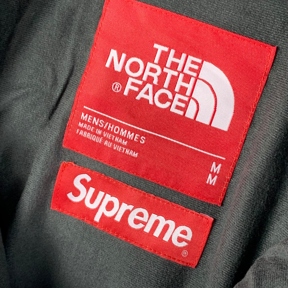 Supreme x The North Face Mountain Parka 'Mountain Print'