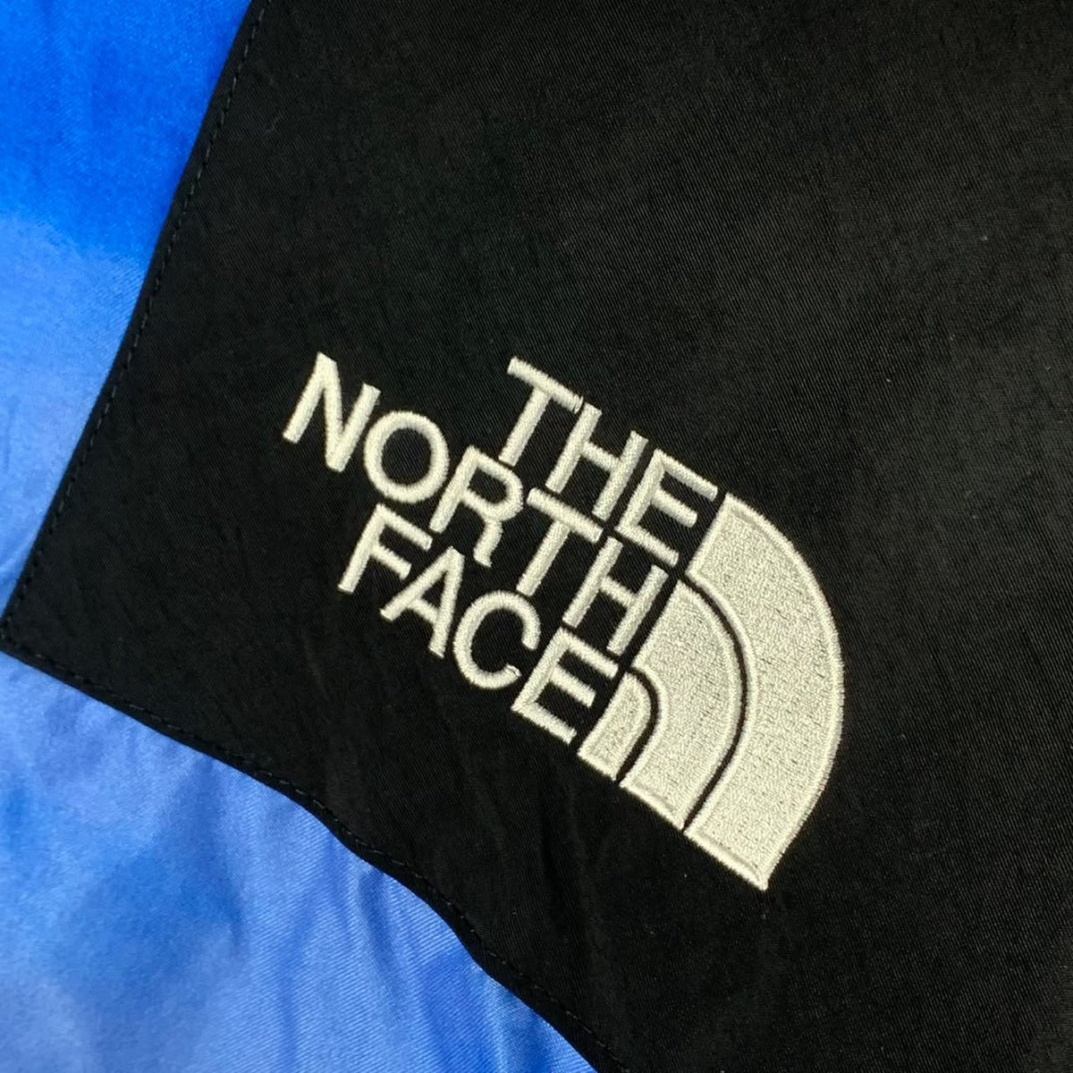 Supreme x The North Face Mountain Parka 'Mountain Print'