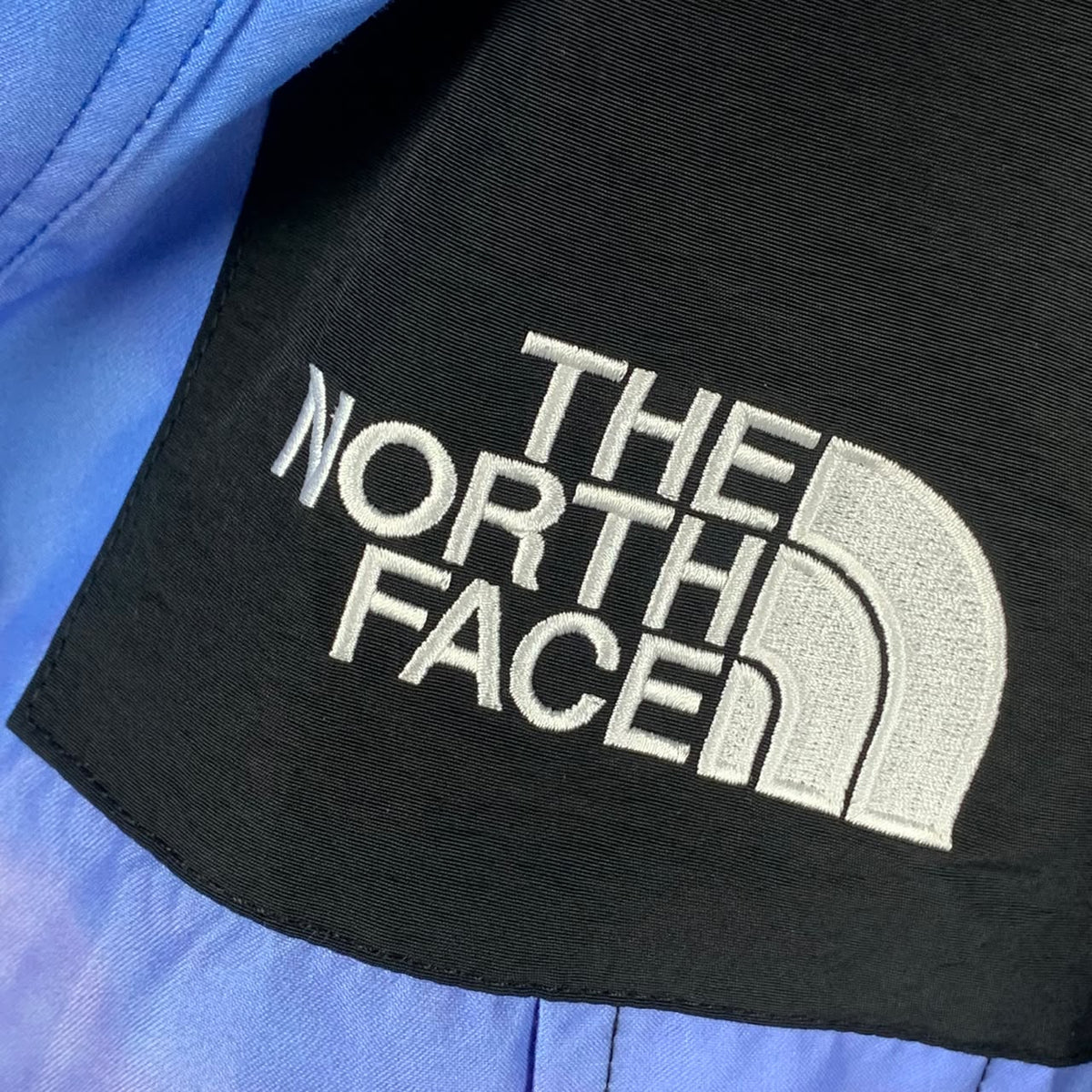 Supreme x The North Face Mountain Parka 'Mountain Print'