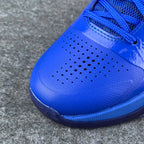 Nike Zoom Kobe 5 Protro 'Dodgers'