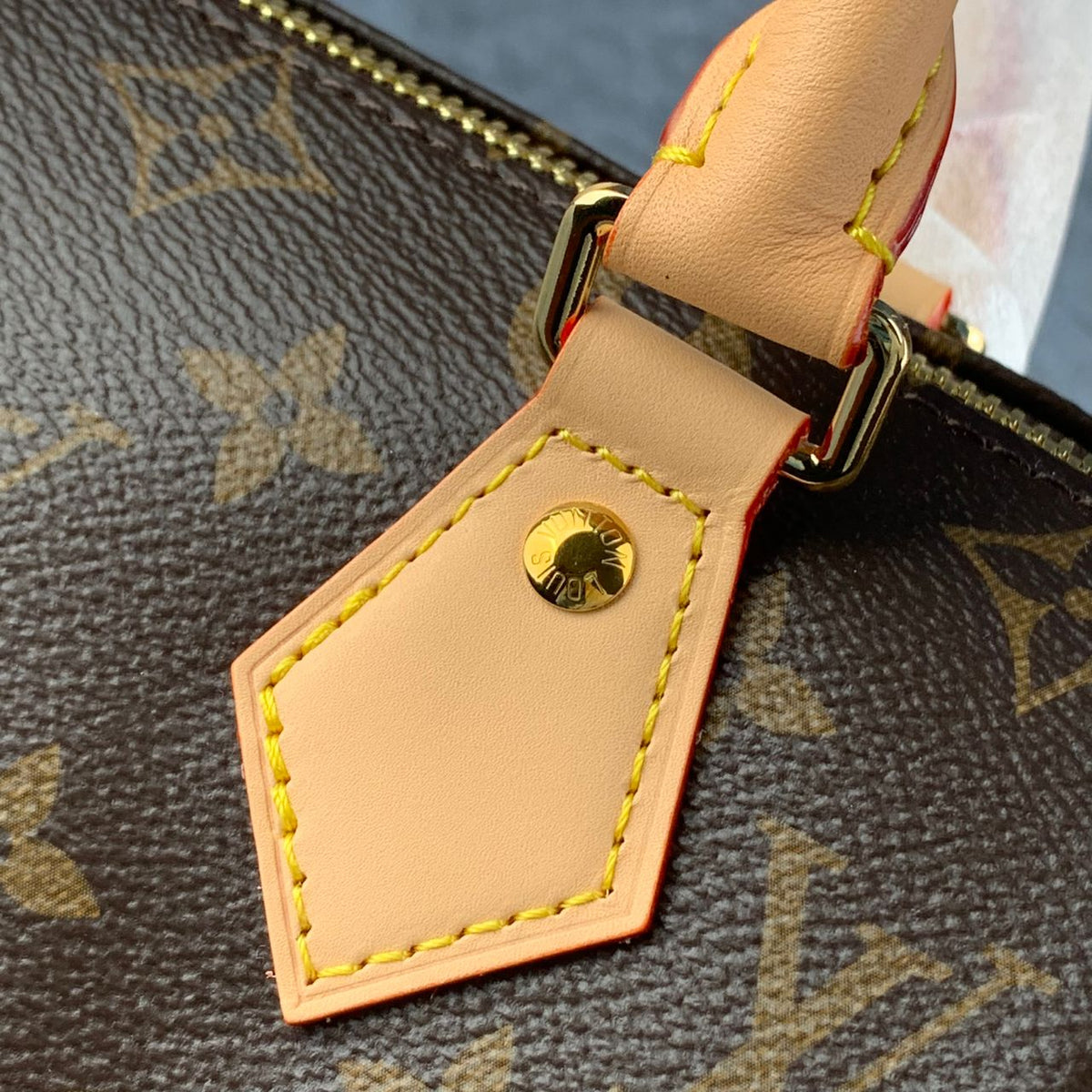 LV Speedy Bandoulière 20 Bag