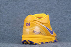 Nike Kobe 4 Protro Draft Day Pack Los Angeles Lakers
