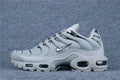 Nike Air Max Plus 'Wolf Grey'