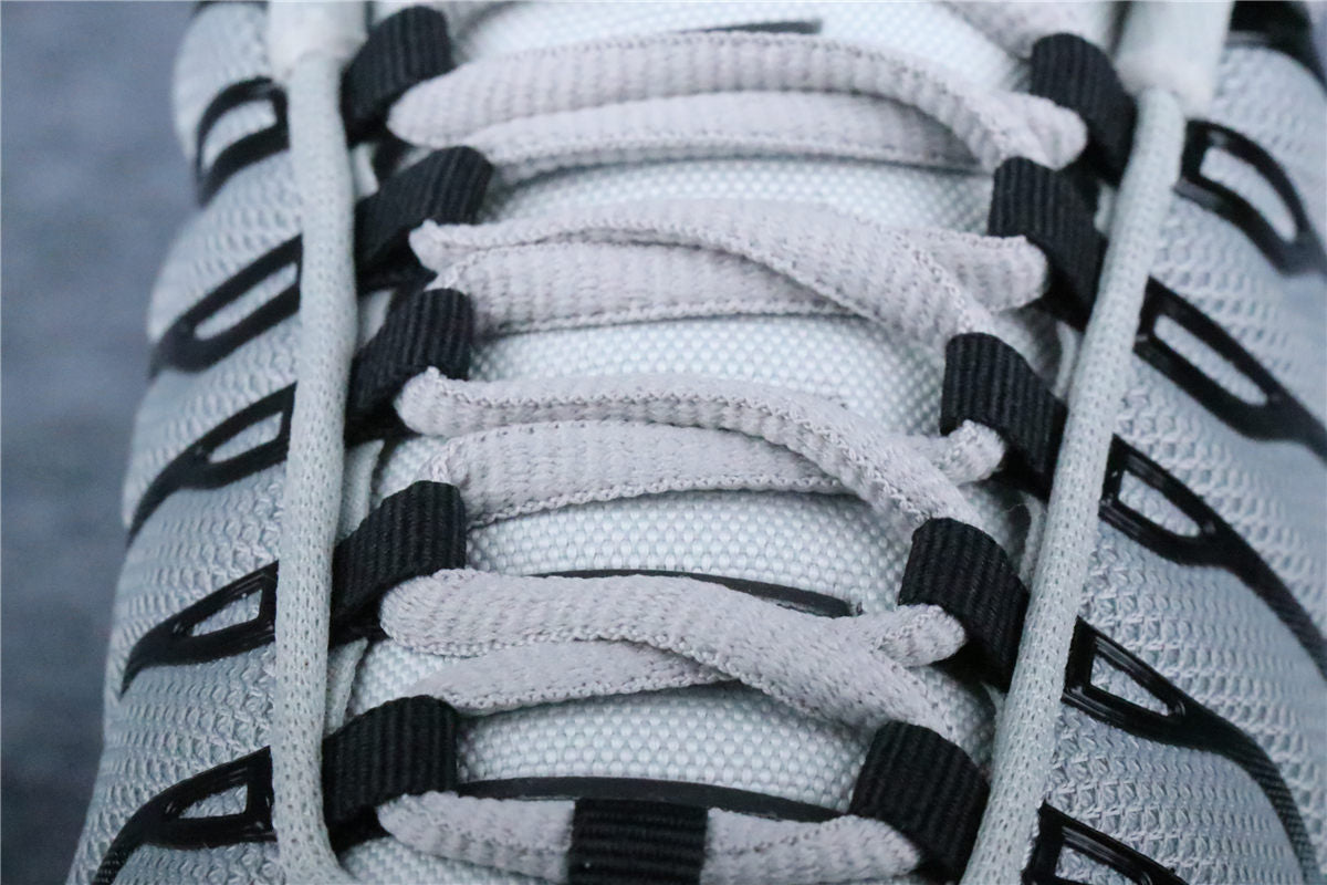 Nike Air Max Plus 'Wolf Grey'