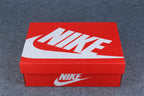Nike Air Zoom Vomero 5 'Light Iron Ore'